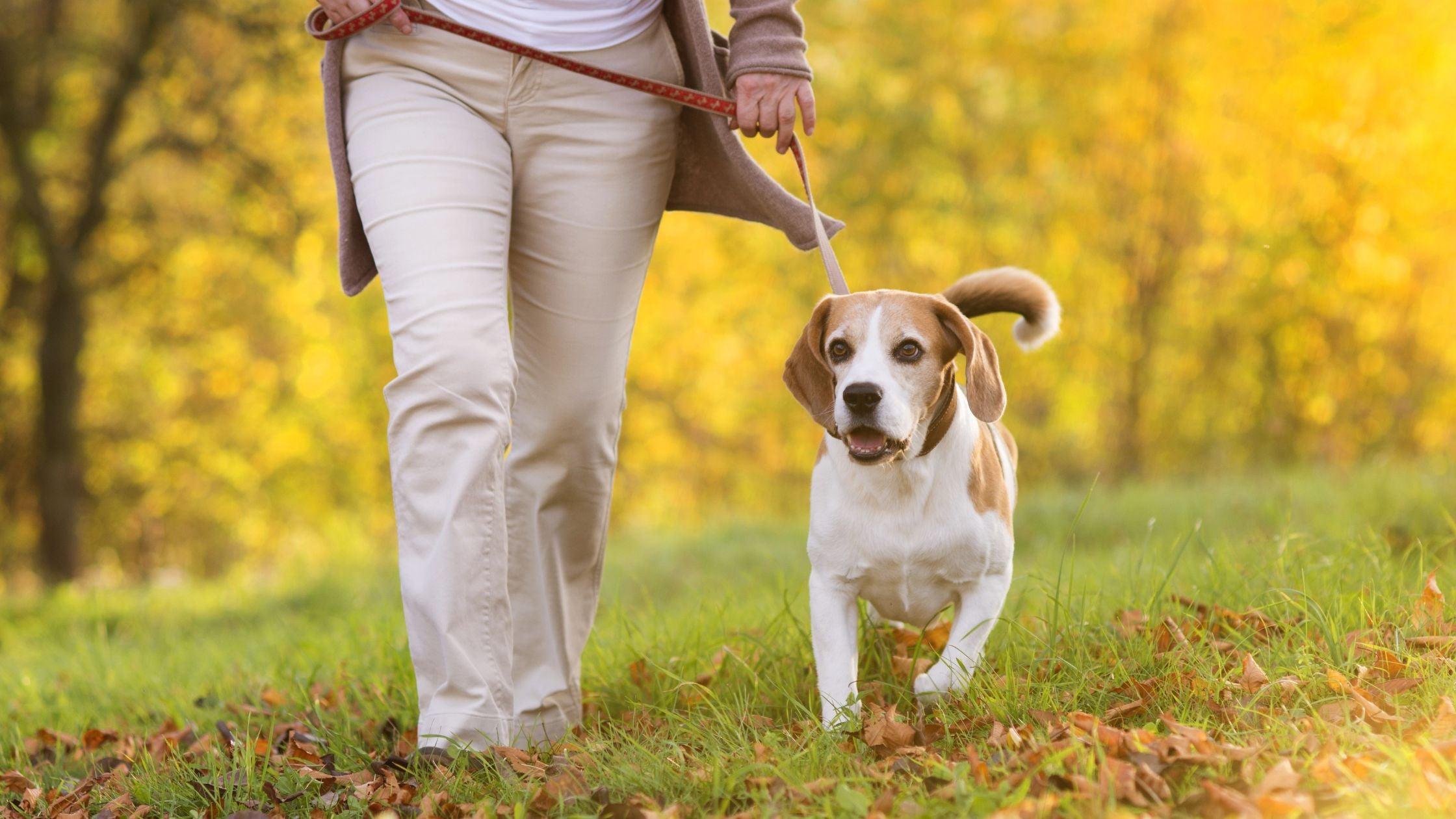 Ask Hand Therapist Trevor: Why do my hands swell when I walk? I Grace & Able